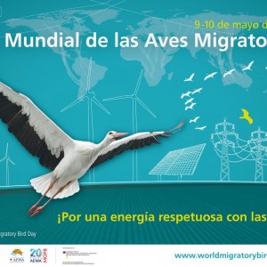 Poster2015_Spanish_for_download