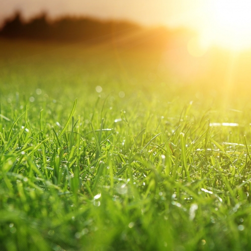 United With Our lands