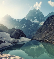 Poet's Natural Dream