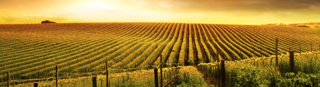 Neat Sunset Viewpoint 